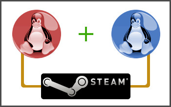 Visual Concept of Two Linux Distros Sharing the Same Steam Game Files